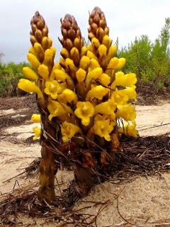 Anne and Michael SE Portugal 2