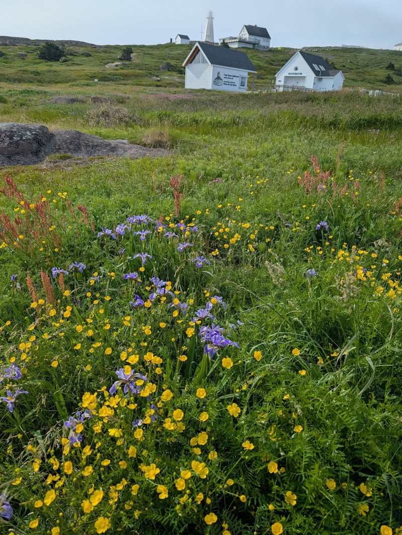 cape-spear-with-todd-800w