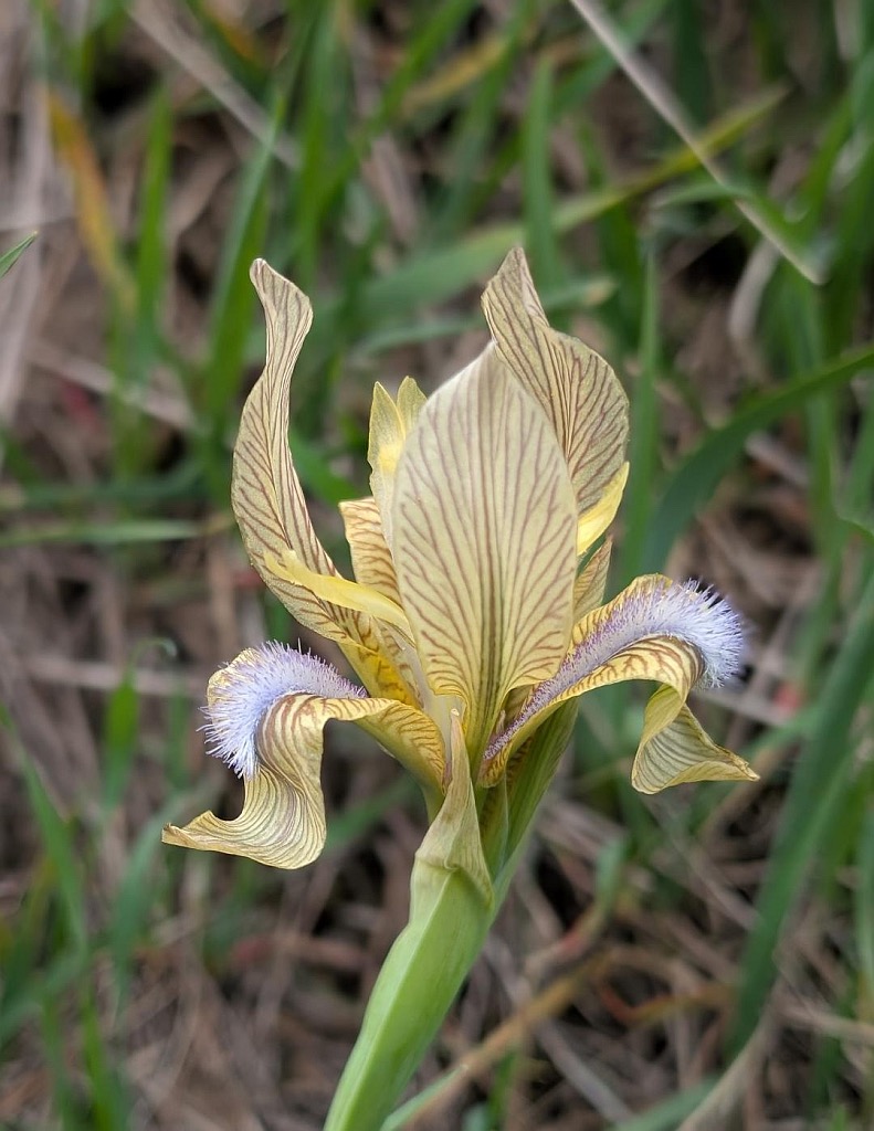 Todd Boland Tajikistan 1