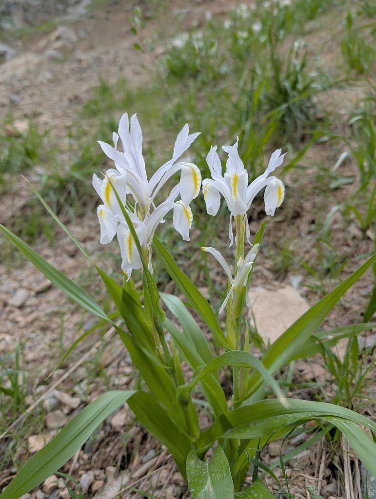 Todd Boland Tajikistan 2