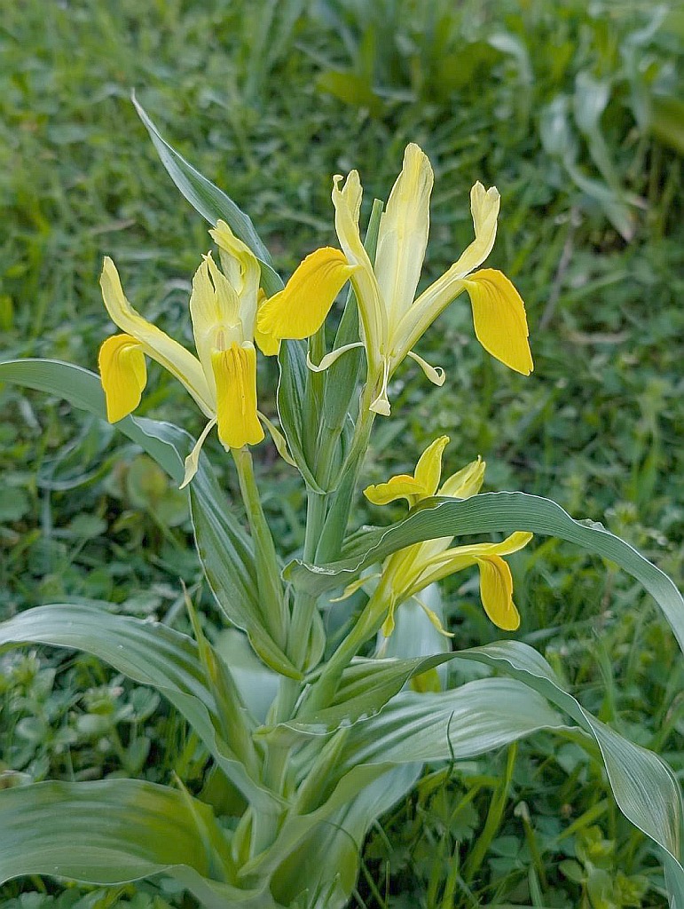 Todd Boland Tajikistan 4